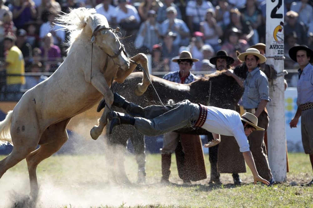 Cowboy Tossed Off Horse 