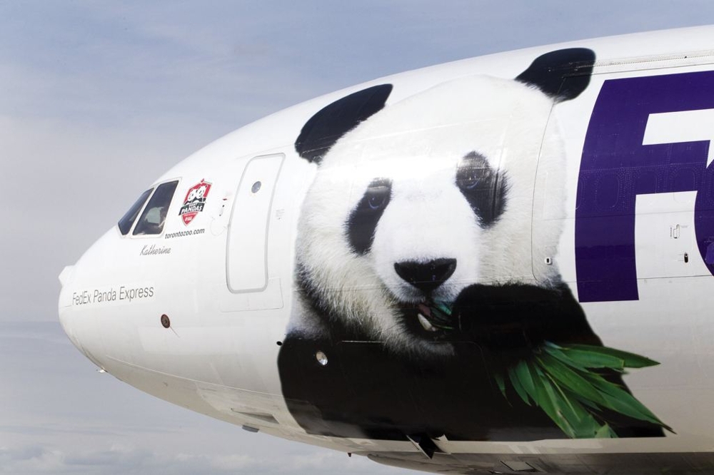 Pandas arrive in Canada 