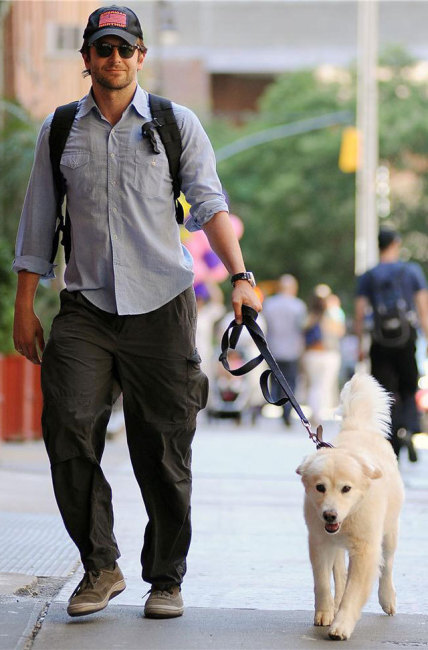 Bradley Cooper and Puppy... Awww