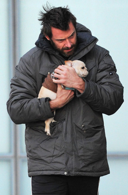 Hugh Jackman holding Puppy