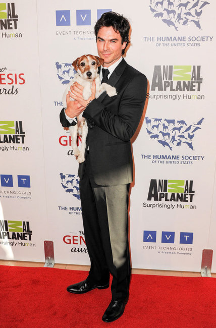 Ian Somerhalder with Puppy