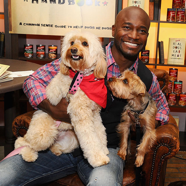 Taye Diggs and Two Puppies 