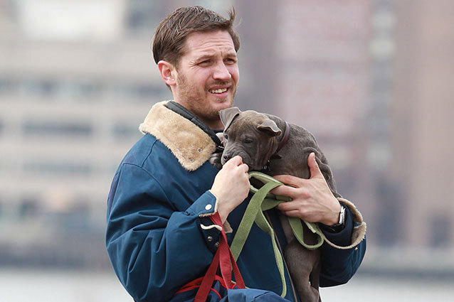 Tom Hardy with Pitbull Puppy