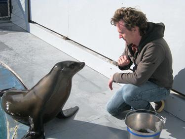 Sea Lion and Trainer 