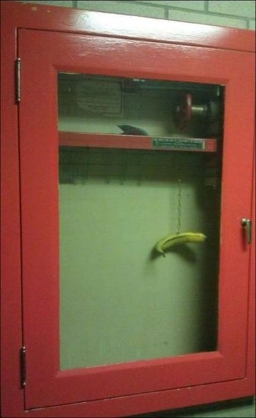 in case of a fire eat more bananas 