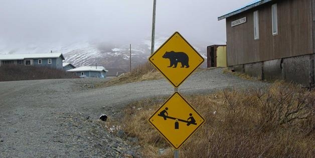 bears + Children at play = seems safe 
