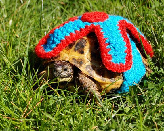 Knit Turtle Clothing 