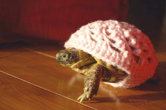 Turtle Sweater 