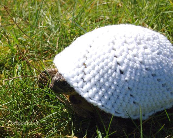 Turtle Shell Fashion 