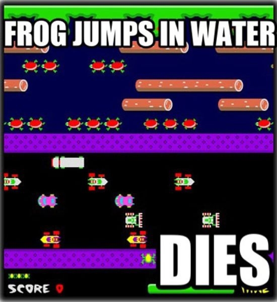 Frogger Problems 