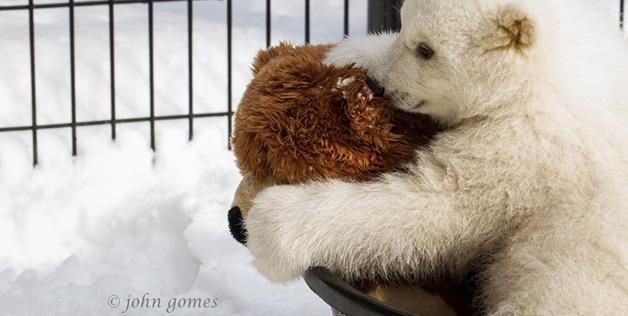 Kali loves his teddy bear 