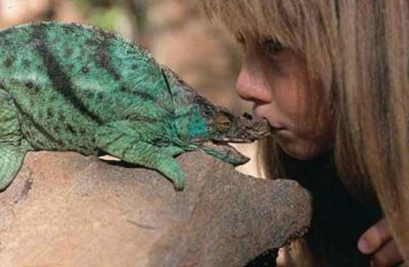 Lizard Kiss 