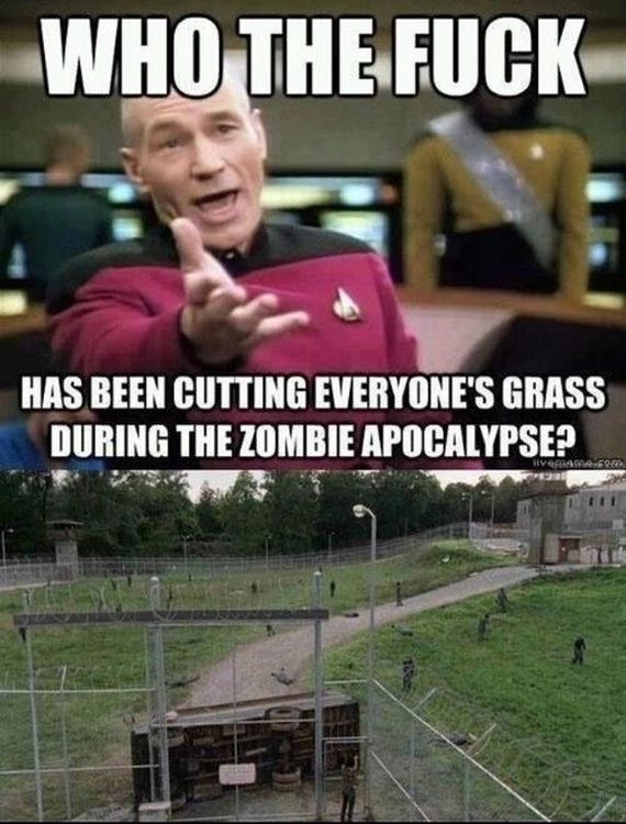 Who is cutting the grass! 