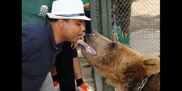 Bear kiss