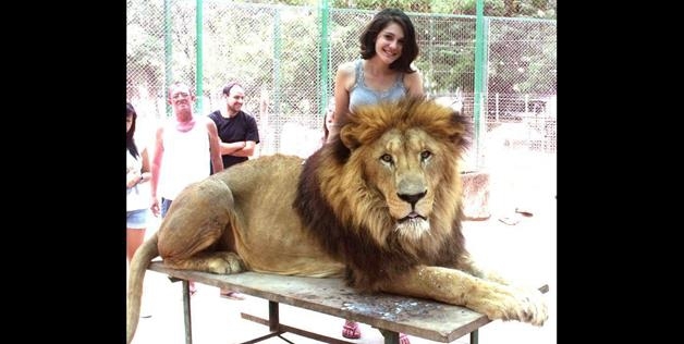 Worlds Most Dangerous Petting Zoo- Lujan Zoo Lets Visitors Interact With All Animals