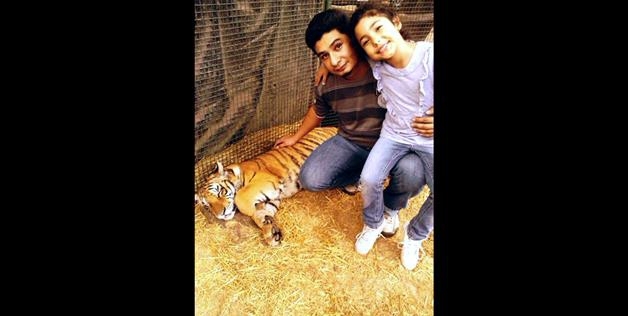 taking a photo with a tiger 