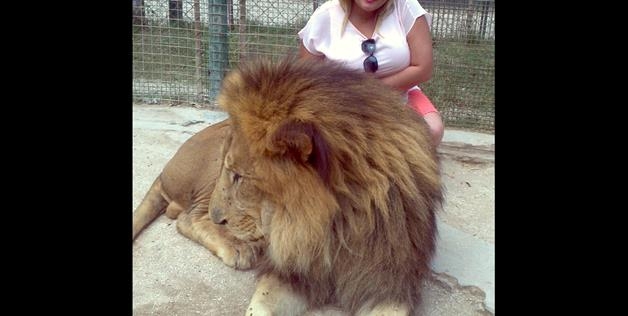photo with lion 