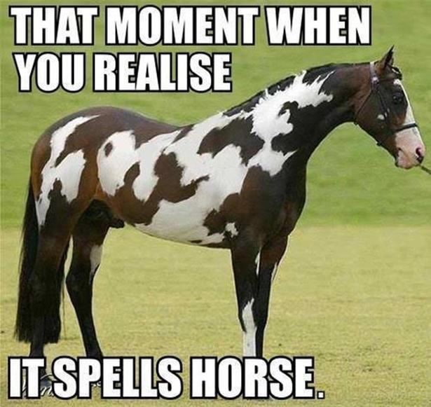 Horse, spells horse 