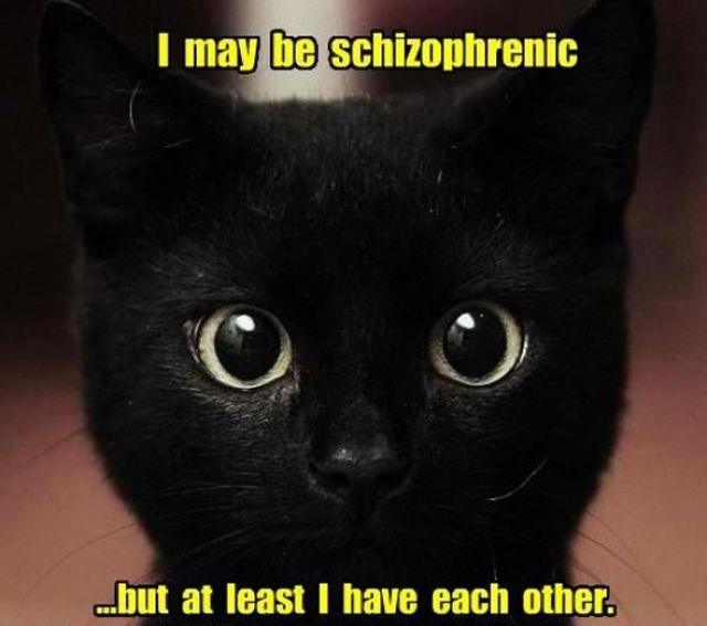 Schizophrenic Cat 