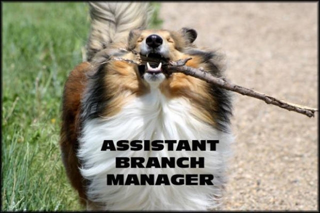 Branch Manager 