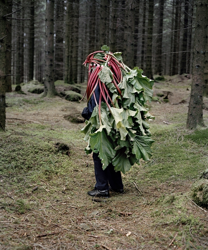 Playful Seniors Wear Organic Materials to Personify Nature 