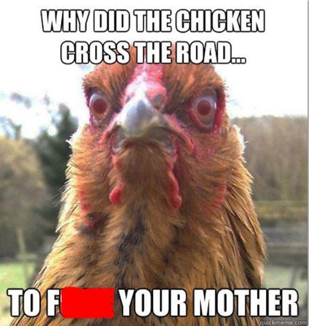 rooster meme 