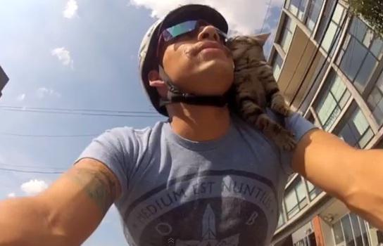 Man and Cat Ride Bike Together