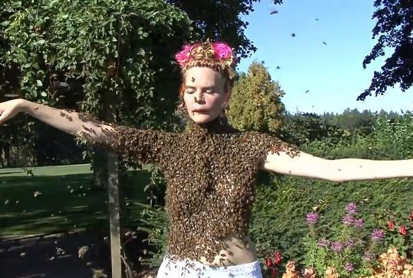 Dancing with Bees 