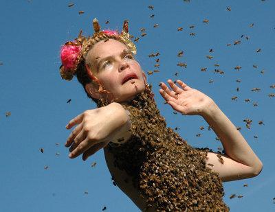 Dancing with Bees 