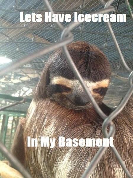 Sloth meme 