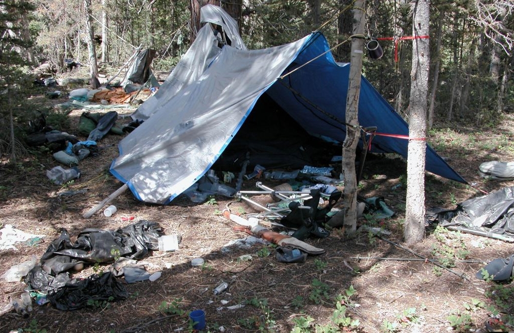 Troy James Camp site 
