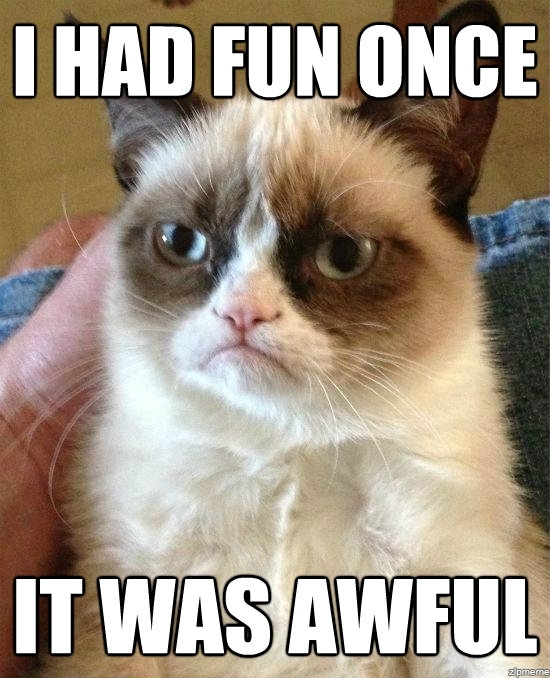 Grumpy Cat Does Not Approve 