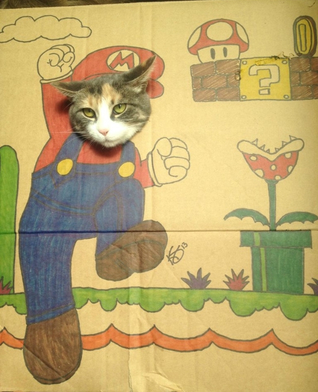 Super Mario Cat 