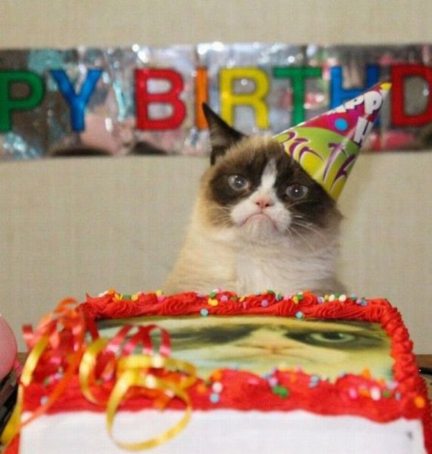 Grumpy Cats Birthday 