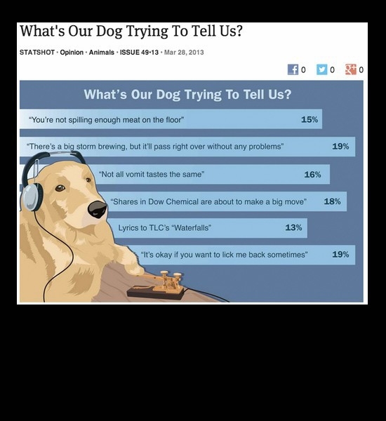 Whats your dog trying to say 
