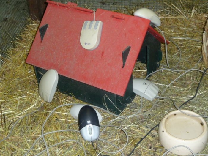 CERN Animal Shelter for Computer Mice 