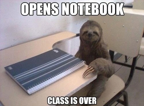 Sloth Meme 