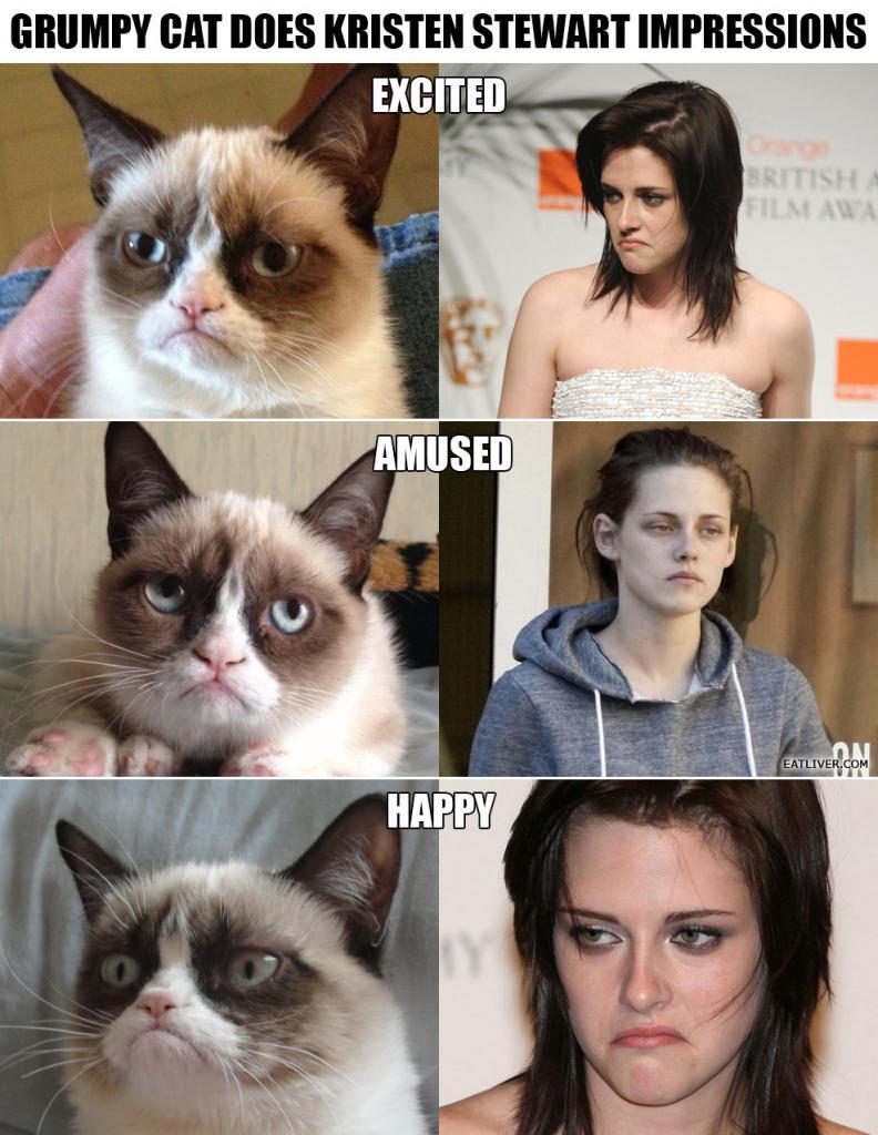 Grumpy Cat's Kristen Stewart Face 