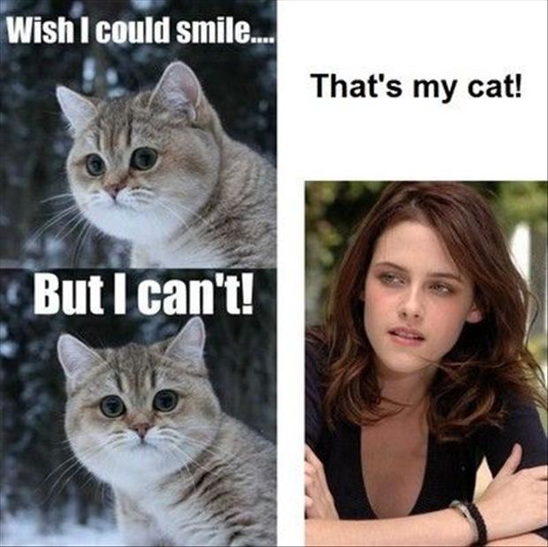 Kristen's Cat 