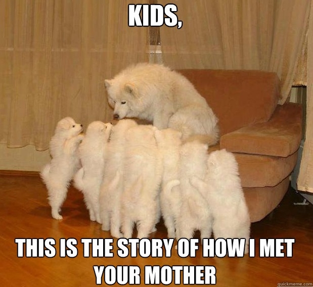 Meme Watch: Storytelling Dog Is A Raconteur Among Mere Dogs