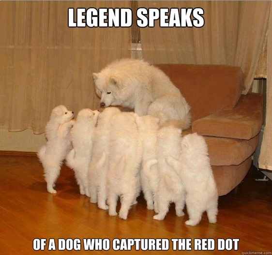 Meme Watch: Storytelling Dog Is A Raconteur Among Mere Dogs