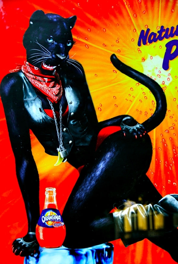 Utterly Ridiculous Orangina Ads Feature Erotic Animals 