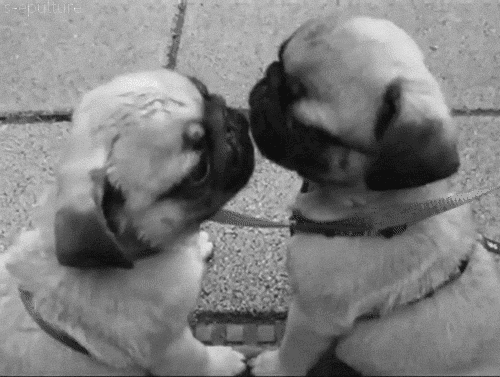 Puppy Kisses 