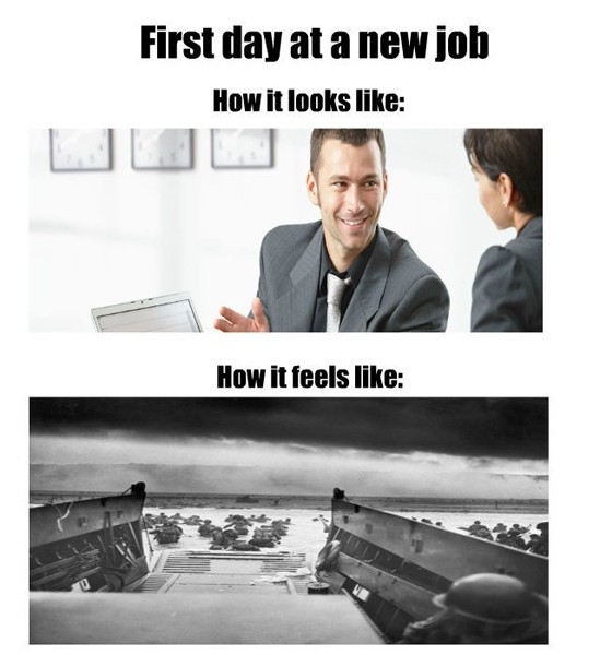 new job 