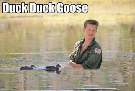 Duck Duck Goose 