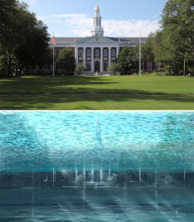Harvard University’s pristine campus