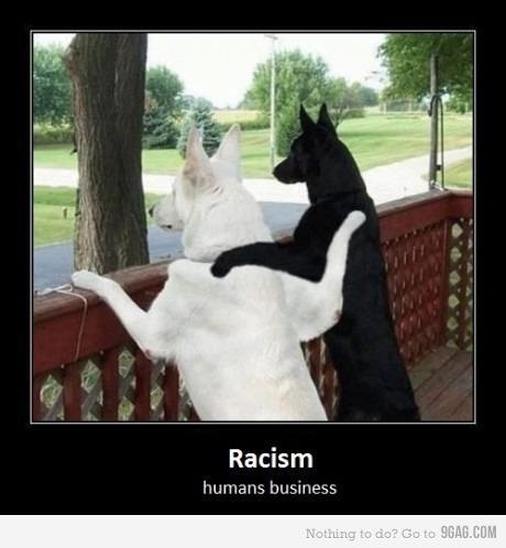 No Racism Here 