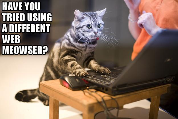 Have you tried using a different web meowser?