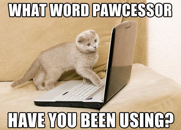What word pawcessor are you using?