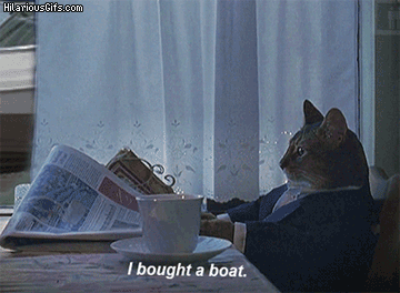 Sophisticated Cat Finally Bought a Boat